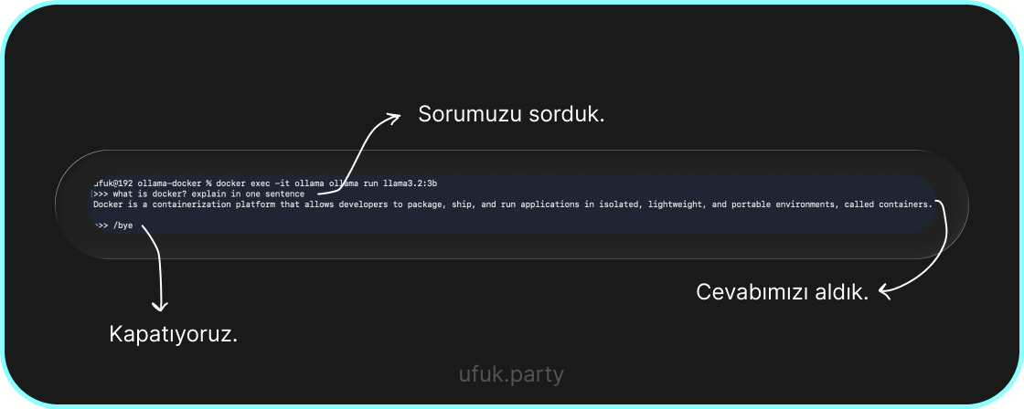 Çıktı